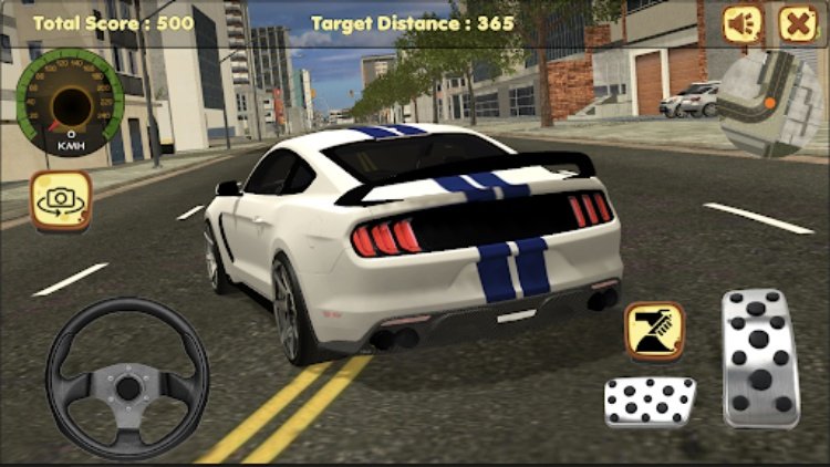 Mustang Drift Simulator
