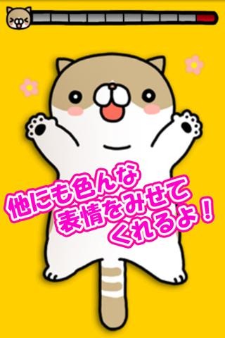 u629au6478u732b