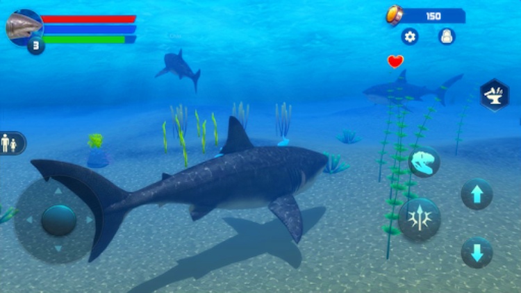 Megalodon Simulator