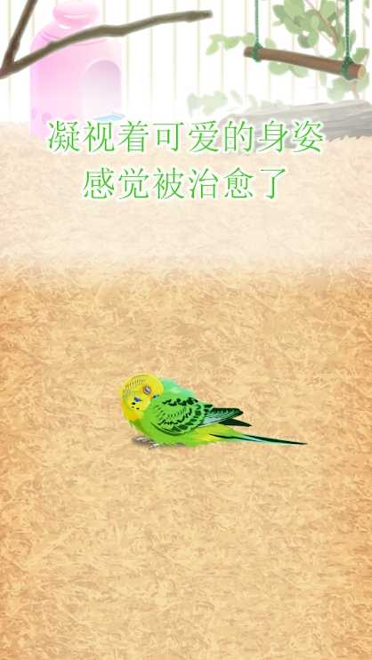 u6cbbu6108u7684u9e66u9e49u80b2u6210