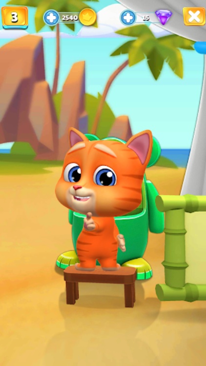 我的会说话的猫Jack