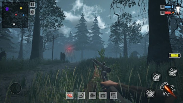 Bigfoot Hunting