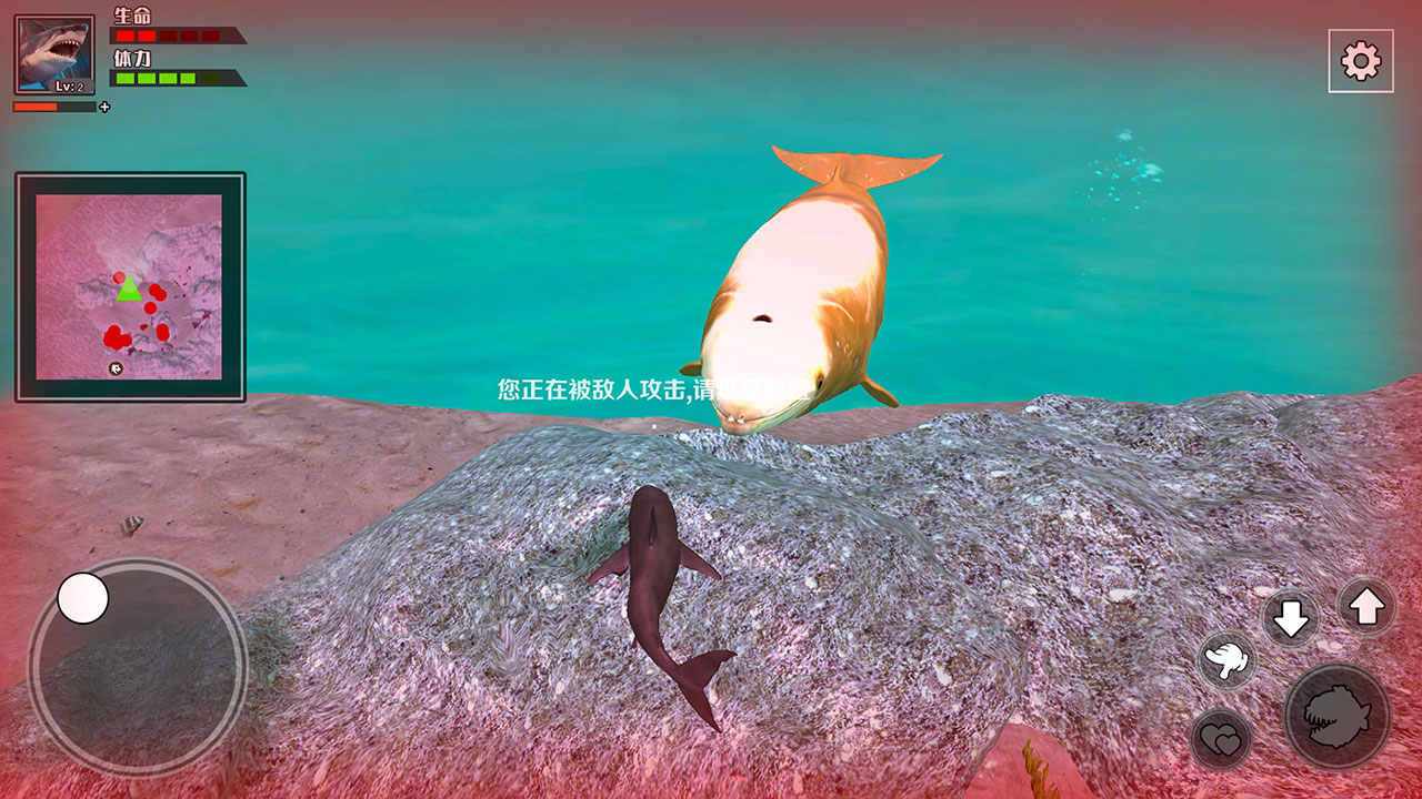 u9965u997fu9ca8u9c7cu6c42u751f