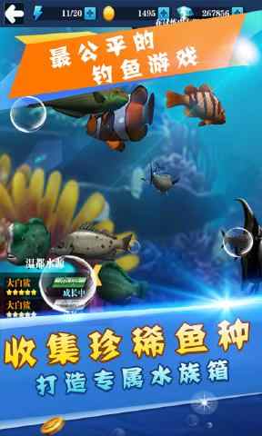 u5929u5929u7231u9493u9c7c