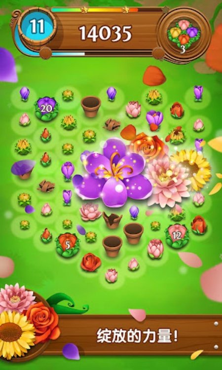 花花传奇