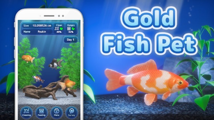 Gold Fish Pet