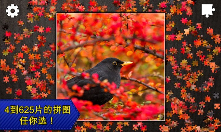 Jigsaw Puzzles Epic