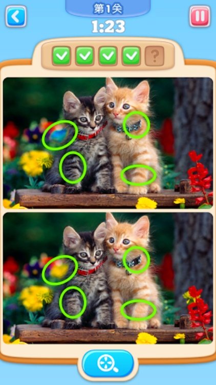 《你能找到它吗》：脑筋急转弯，测验和益智游戏