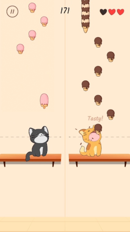 Duet Cats: Cute Cat Music