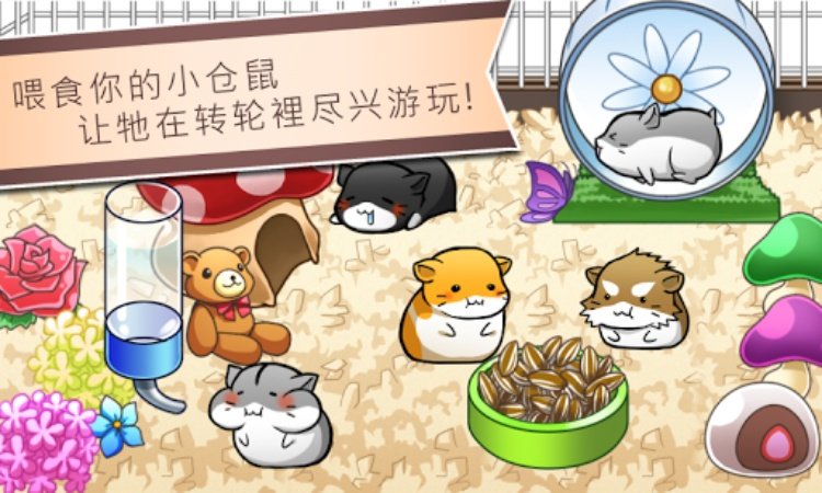 Hamster Life