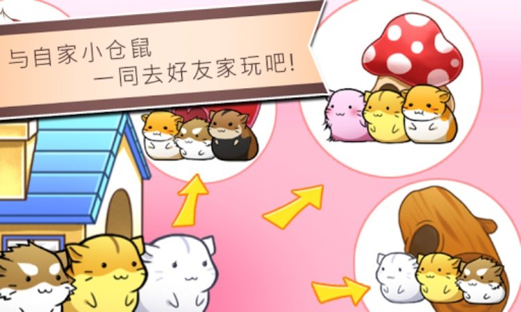 Hamster Life