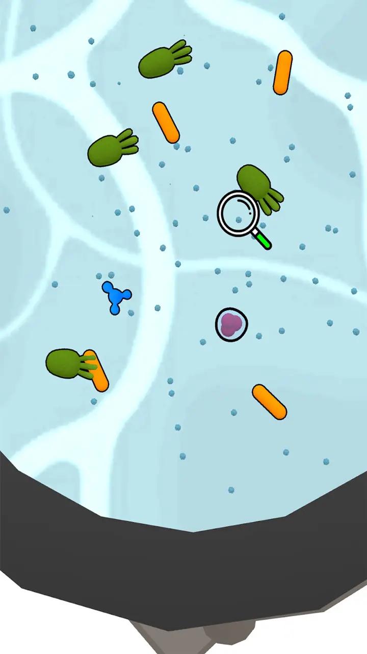 u7ec6u83ccu7a81u53d8