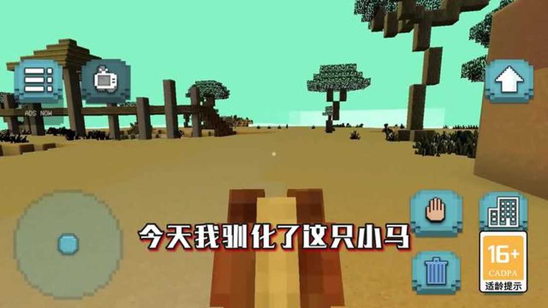 20227228952097190_结果.jpg