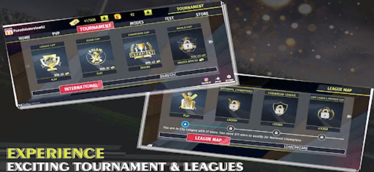 Epic Cricket  Big League Game