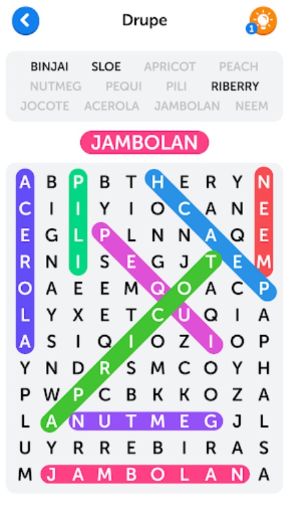 Word Search