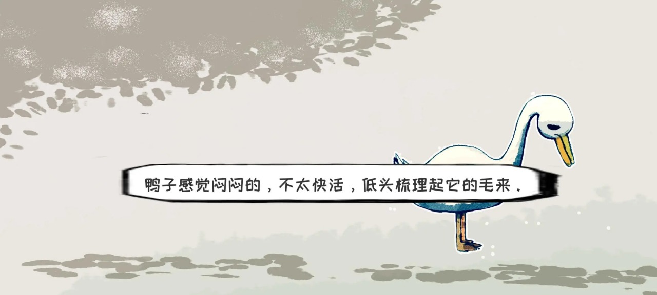17404887513.jpg