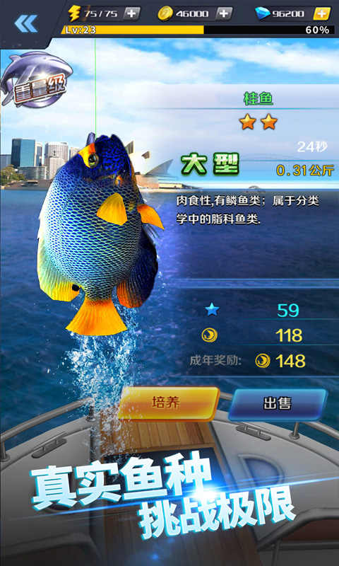 u556au556au9493u9c7c