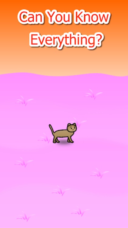 Cat Adventure
