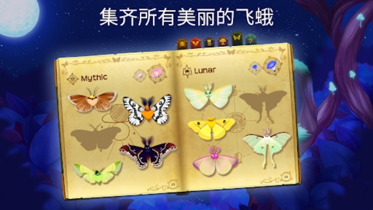 彩翼之星夜