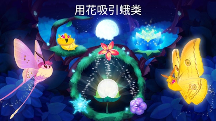 彩翼之星夜