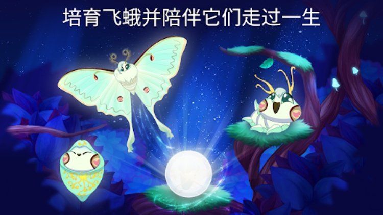 彩翼之星夜