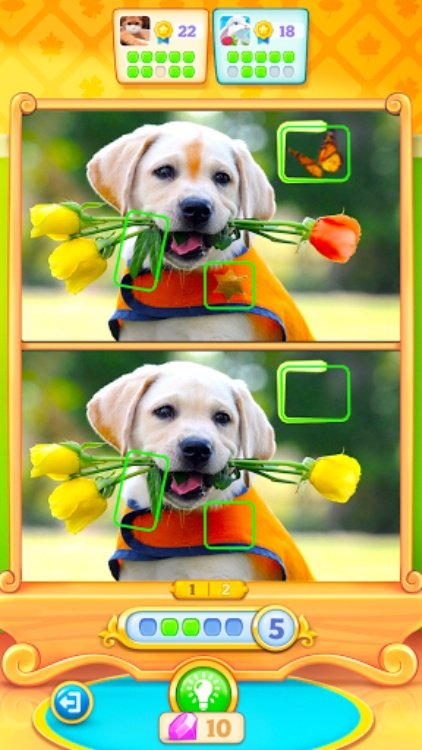 Fun Differences－Find & Spot It