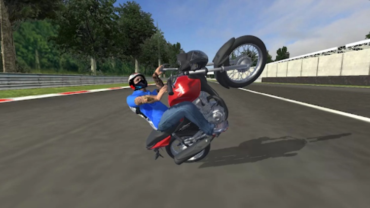 Mx Grau Bike Simulator