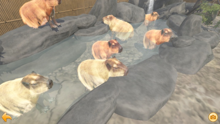 水豚温泉