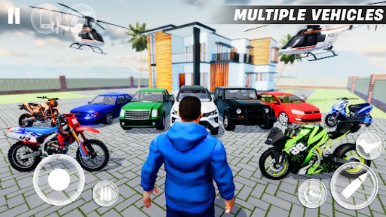 Indian Driving Open World