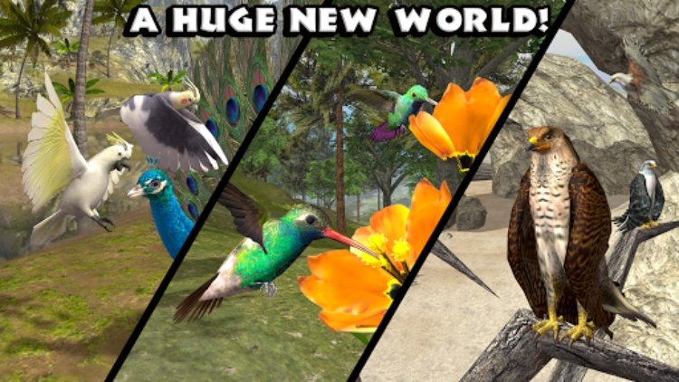 Ultimate Bird Simulator