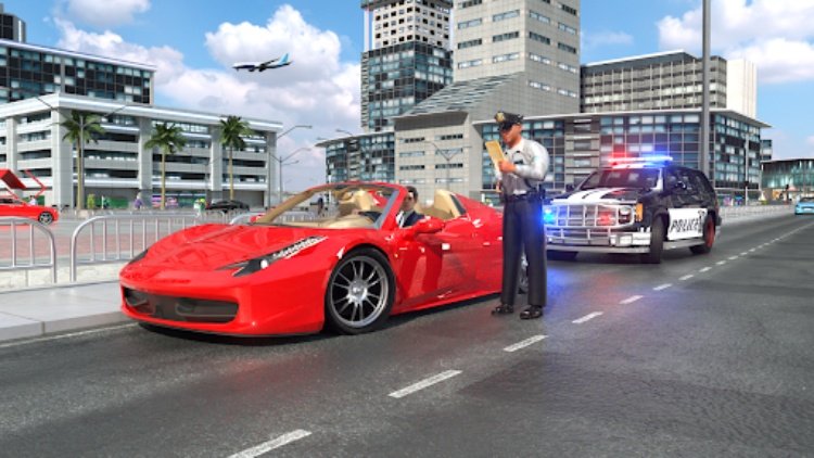 Police Officer Simulator