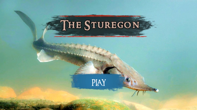 The Sturegon