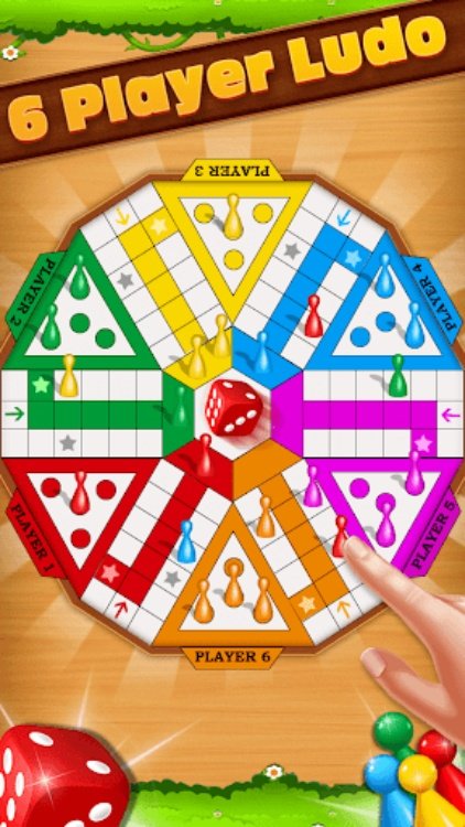 Ludo Play The Dice Game