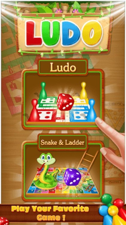 Ludo Play The Dice Game