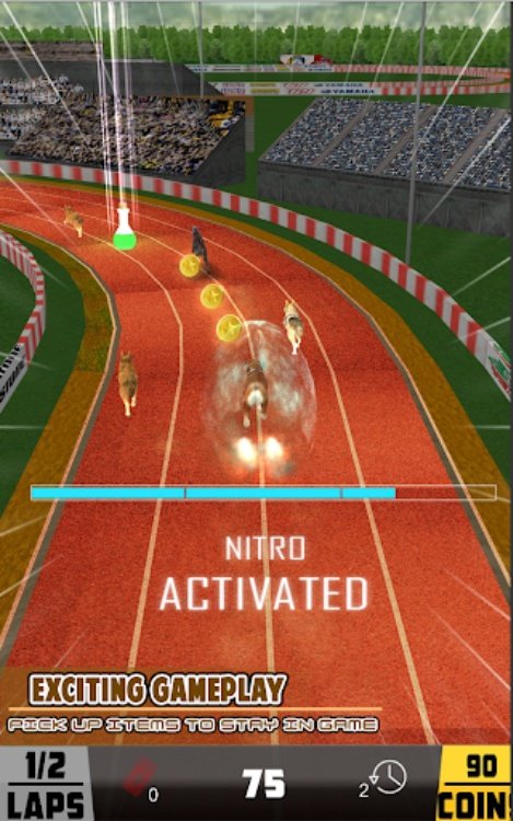 赛狗宠物赛车游戏