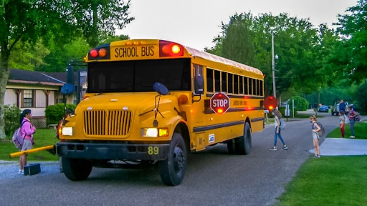 School Bus Transport Simulator
