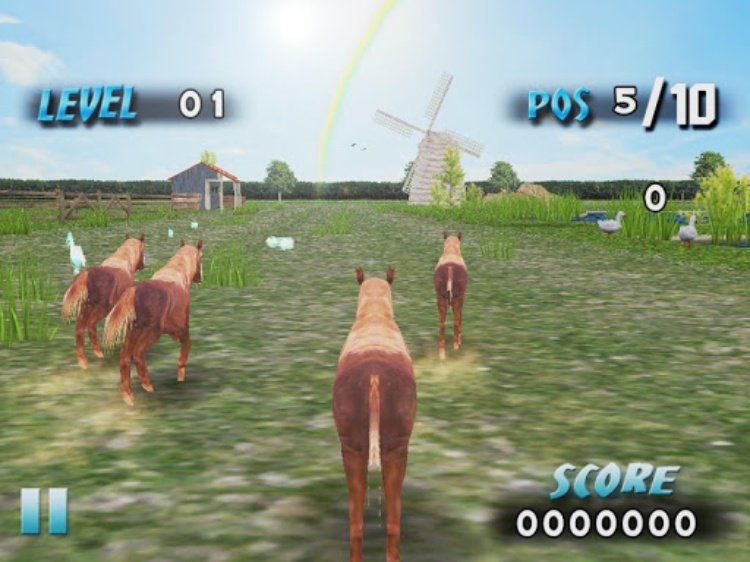 Farm Race