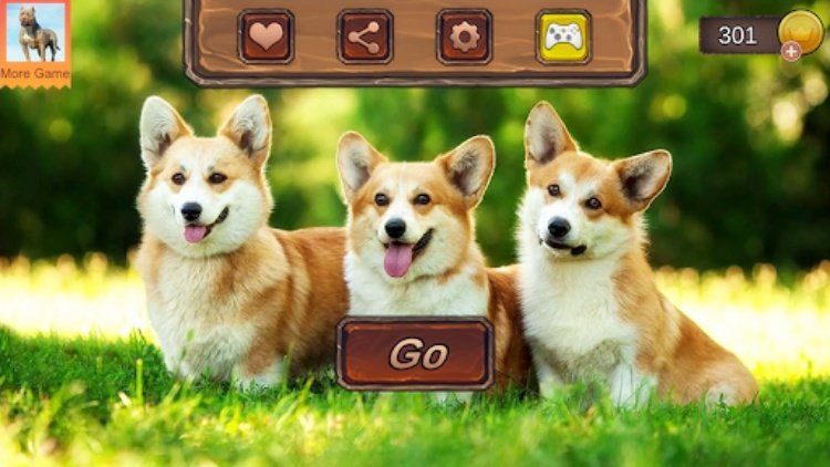 Corgi Dog Simulator