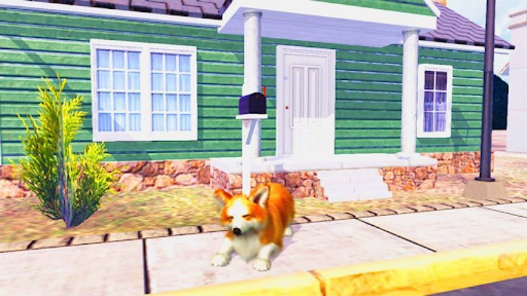 Corgi Dog Simulator