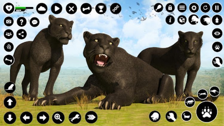 Panther Games Animal Sim 3D