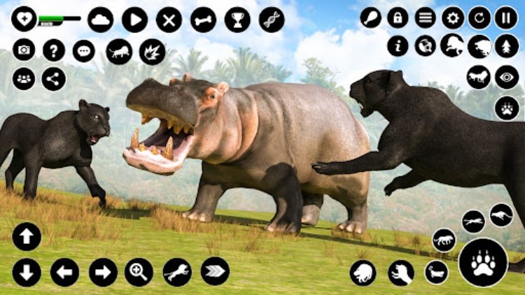 Panther Games Animal Sim 3D