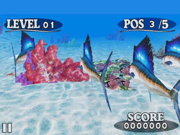 Fish Race