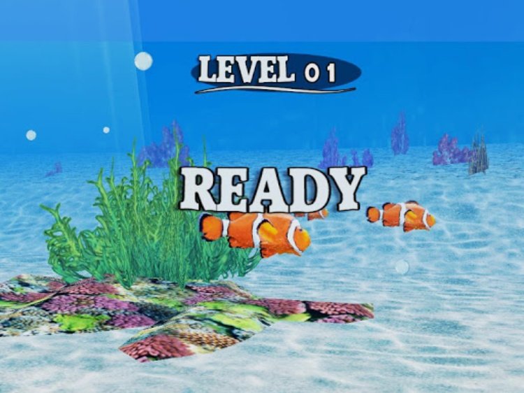 Fish Race