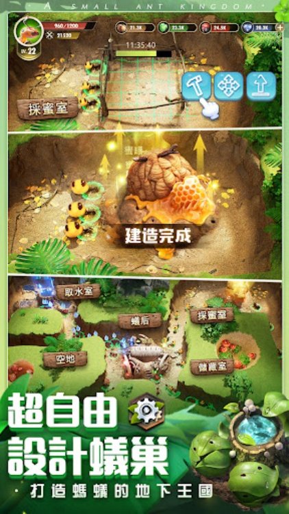 小小蟻國