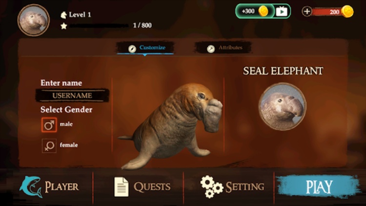 The Seal Elephant