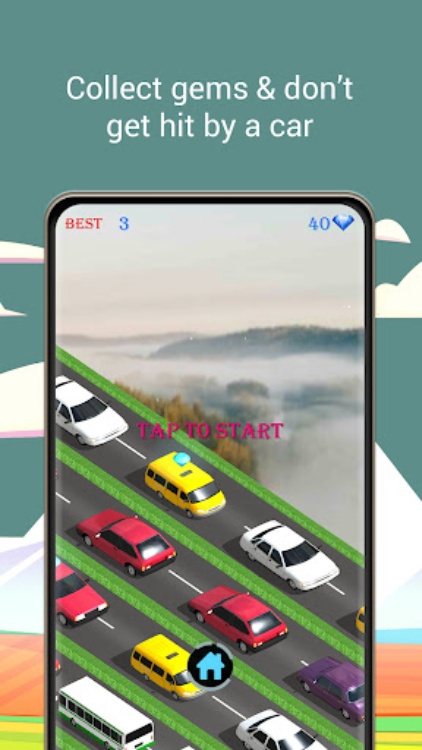 Animal Pets Traffic Highway