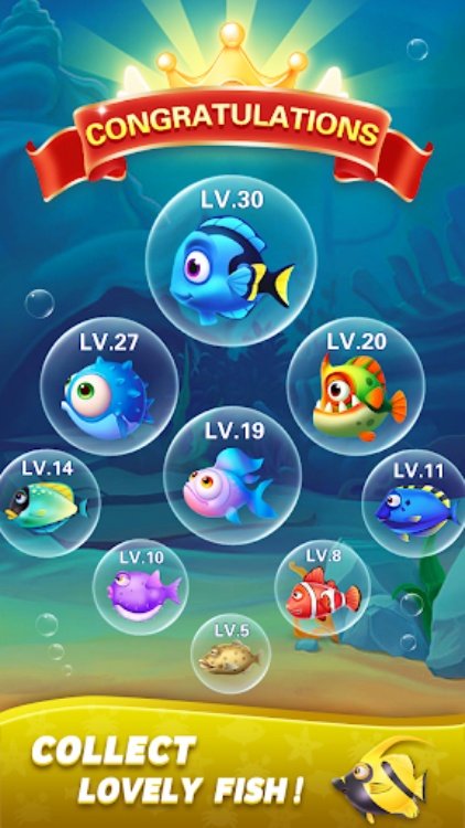 Block Ocean 1010 Puzzle Games