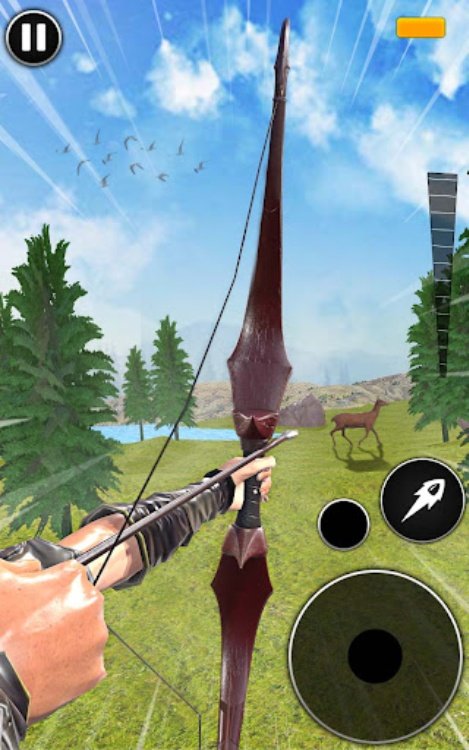 Archery Hunt Hero Bow Shooting