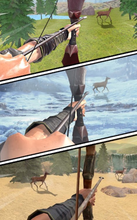 Archery Hunt Hero Bow Shooting