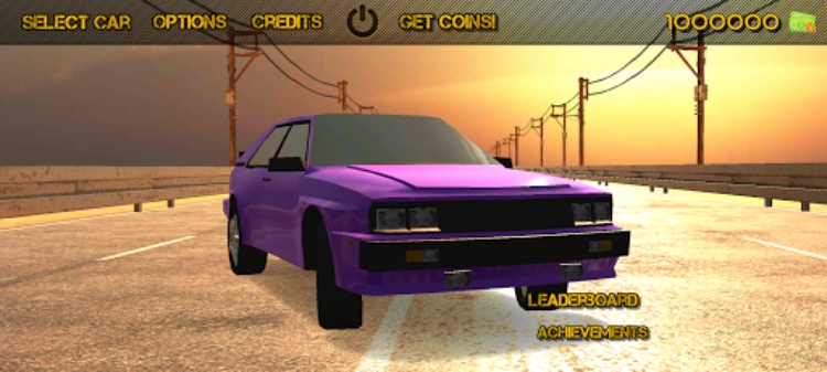 Highway racing survival